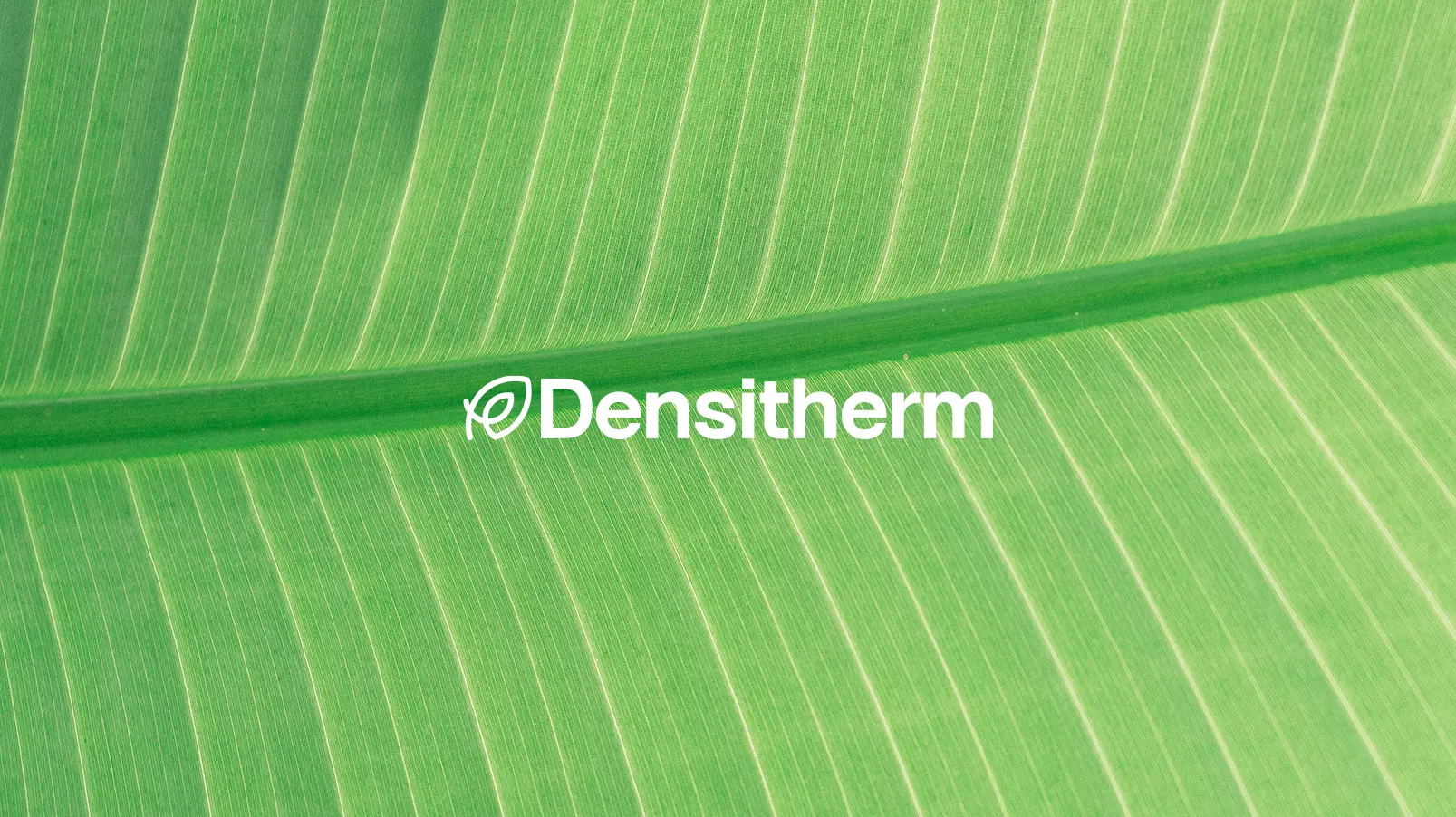 Logo Densitherm mis en situation sur fond photographique texturé